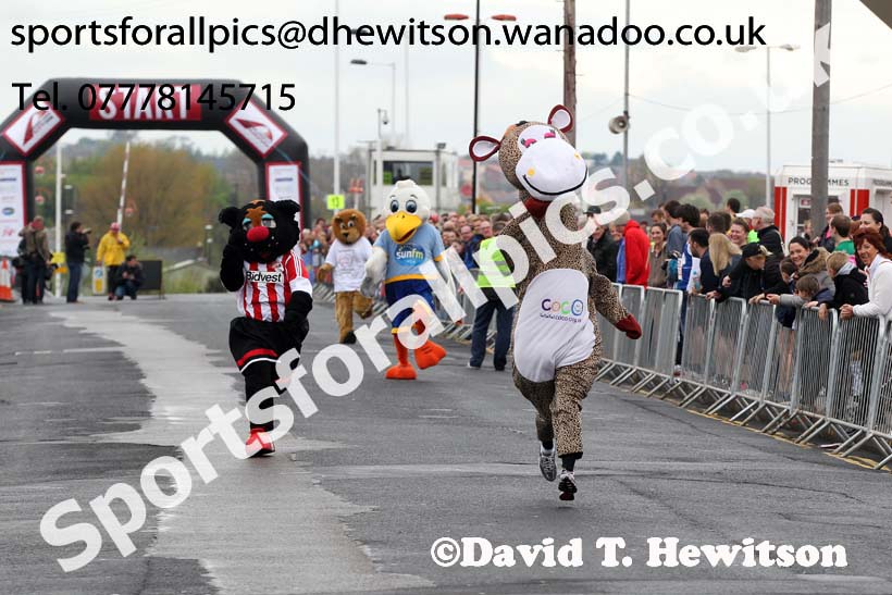Mascots race at the Sunderand City Half Marathon and 10k. Photo: David T. Hewitson/Sports for All Pics